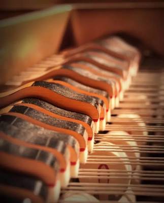 樂器養(yǎng)護(hù)之樂器之王——鋼琴